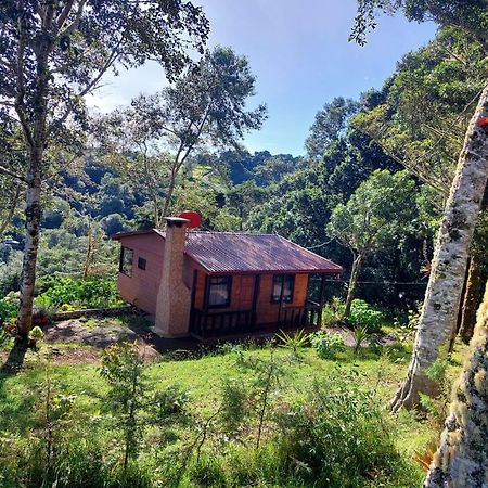 Las Bromelias Lodge Paso Macho 外观 照片