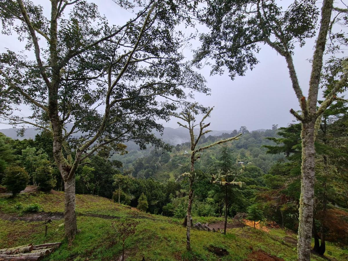Las Bromelias Lodge Paso Macho 外观 照片